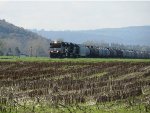 Lots of tank cars